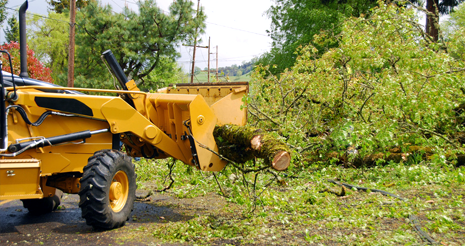 Storm damage clean-up service