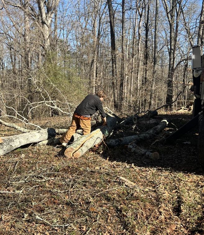 A man is standing next to a pile of logs in the woods.