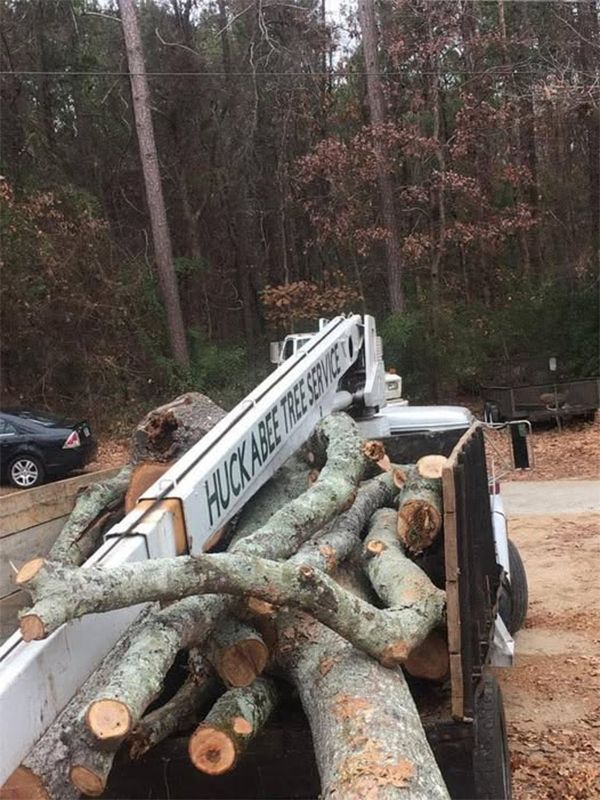 A pile of logs is sitting on the back of a truck.