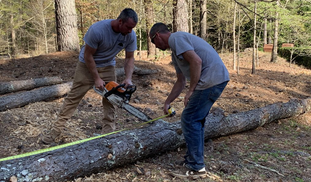 Two men sawing a tree on the ground