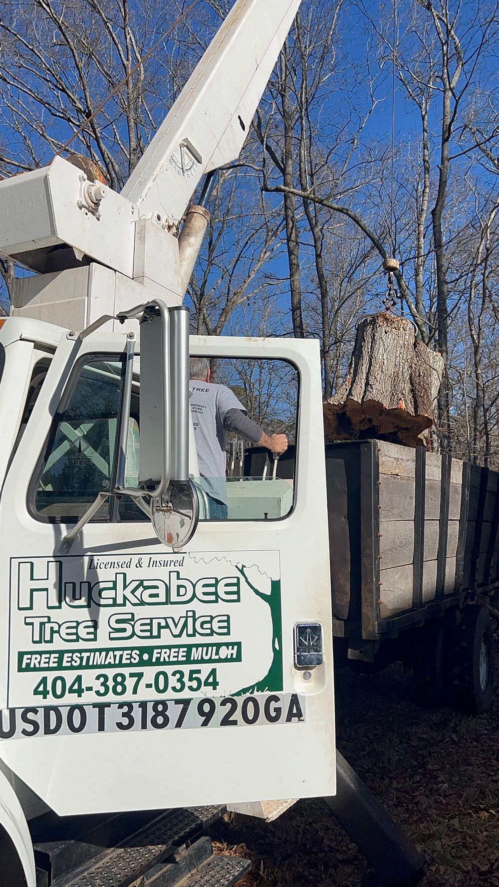 A man is sitting in the driver's seat of a tree service truck.