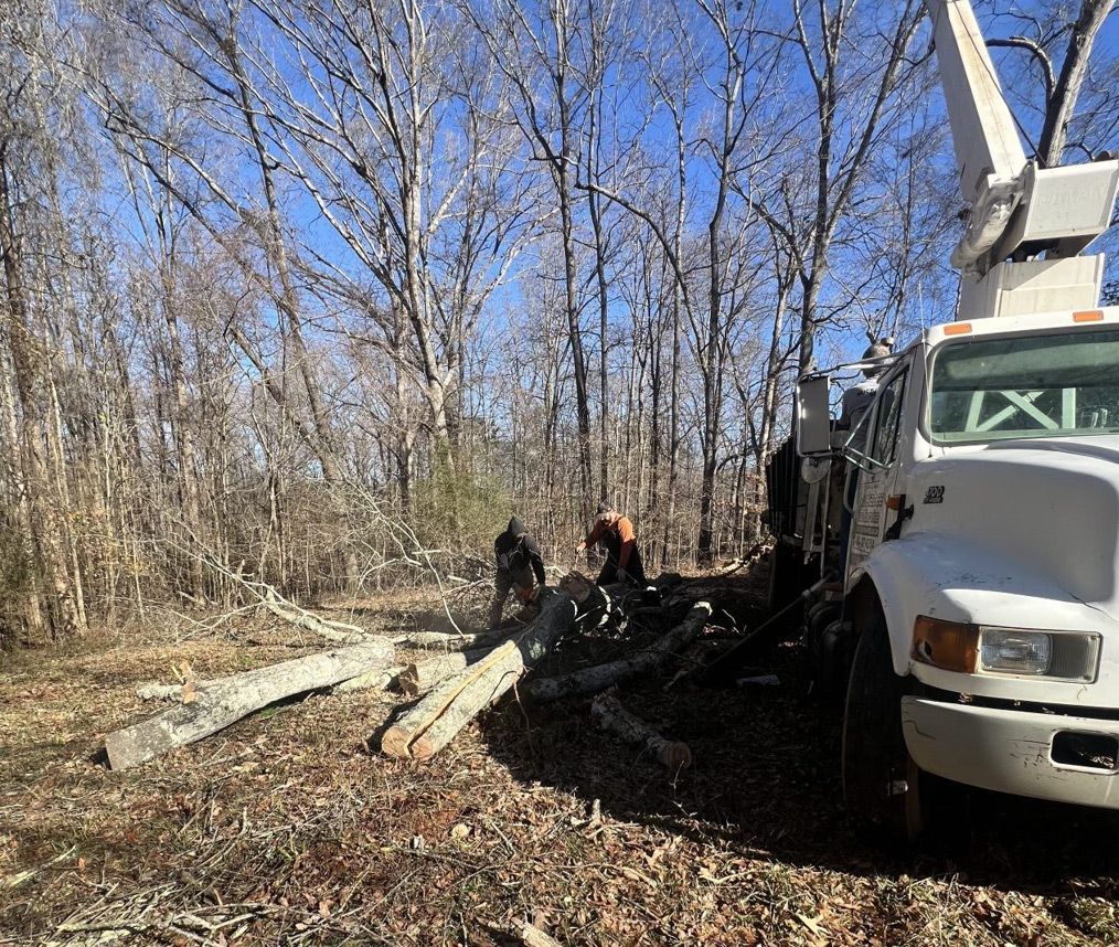 A white truck is parked in the middle of a forest.