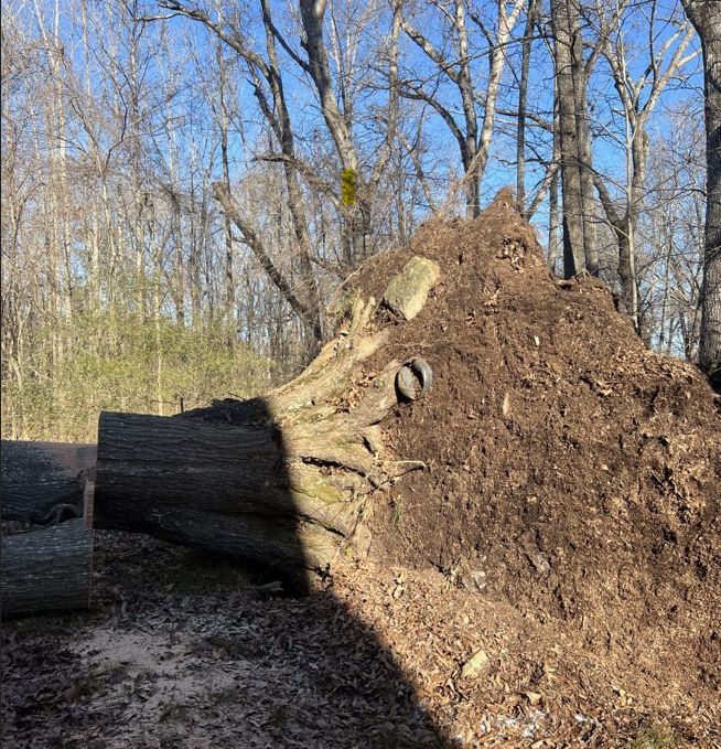 A large pile of dirt is sitting in the middle of a forest.