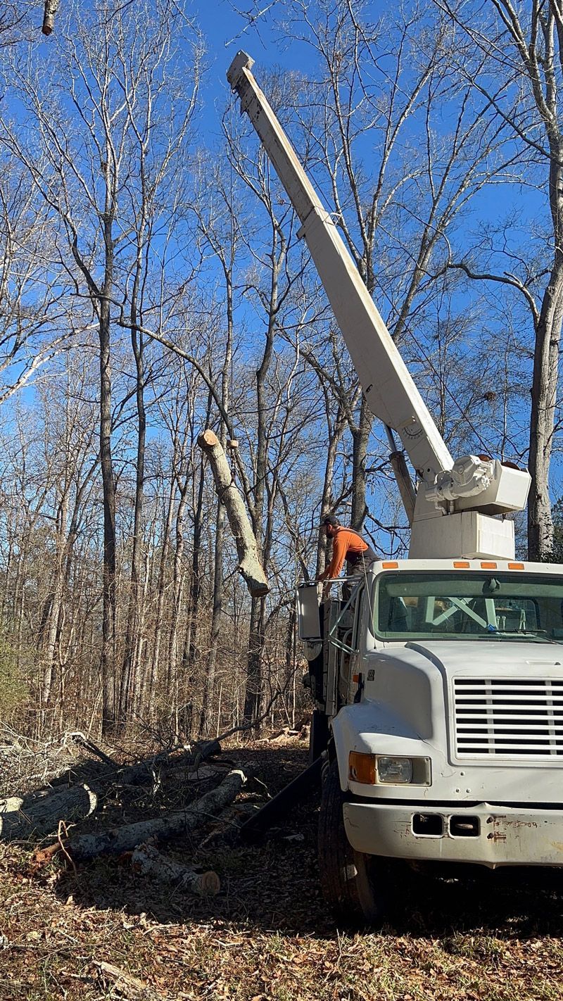 A white truck with a crane on top of it is cutting a tree in the woods.