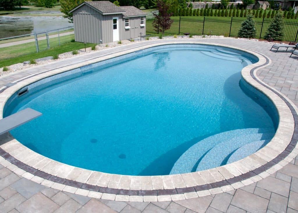 Backyard swimming pool with curved stone deck and small shed in the background