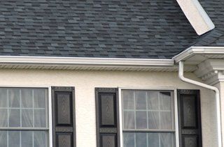 Shingle roof and gutter