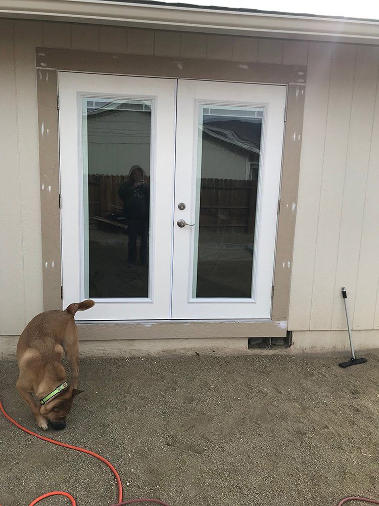 A dog is standing in front of a sliding glass door