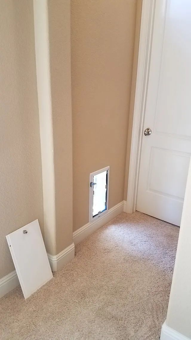 There is a pet door in the wall of a room