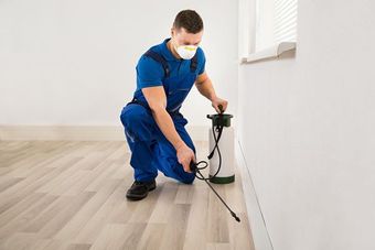 pest control utah