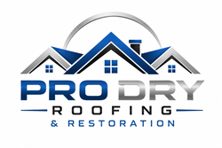 Pro Dry Roofing & Restoration logo with blue and gray house roof graphic