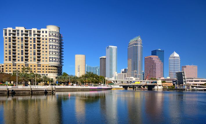 A city skyline is reflected in a body of water