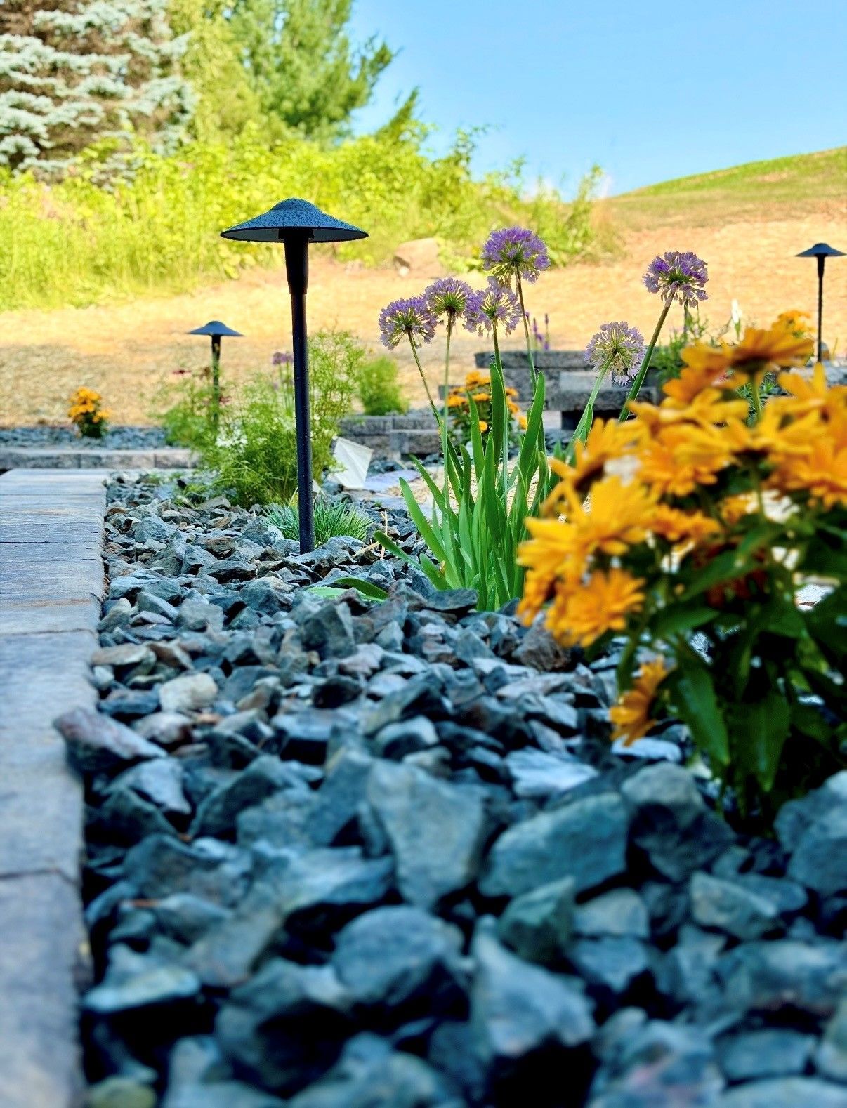 Flower-lined garden path with black landscape lights and yellow blooms beside a rocky border