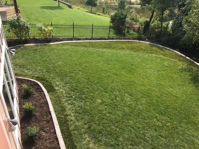 a large lush green lawn with a fence in the background .