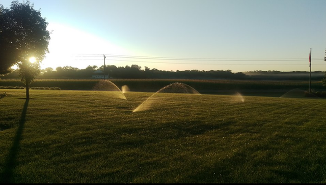 several sprinklers are spraying water on a lush green field