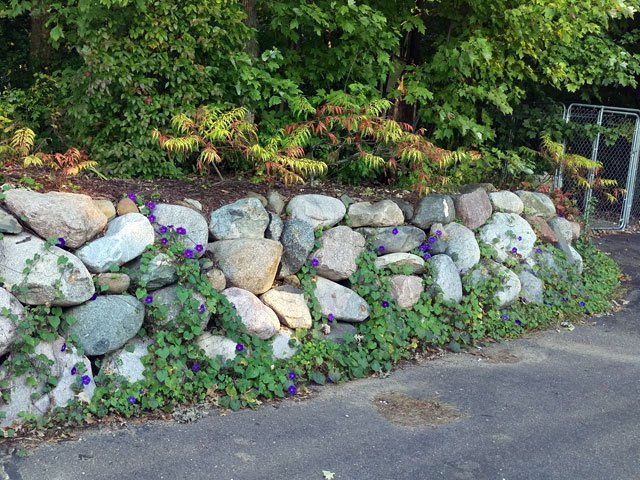 a stone wall with purple flowers growing on it