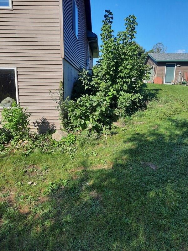 a house with a lot of weeds in front of it .