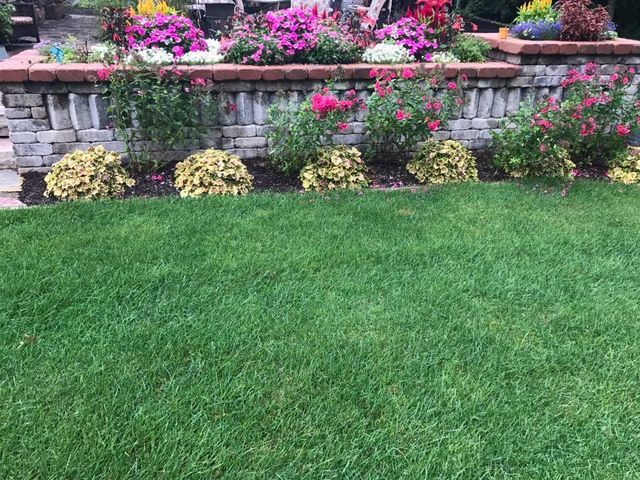 a lush green lawn with flowers and a stone wall in the background .