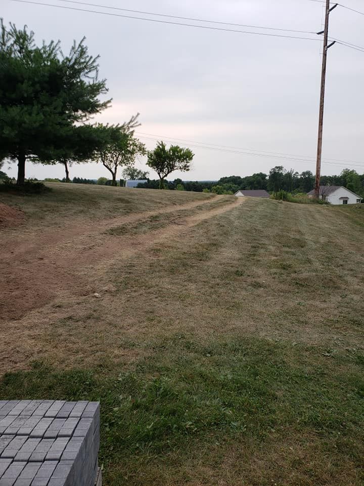 a grassy field with a dirt road going through it
