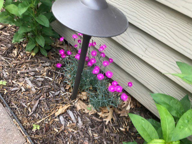 a garden light is sitting next to a bush with pink flowers .