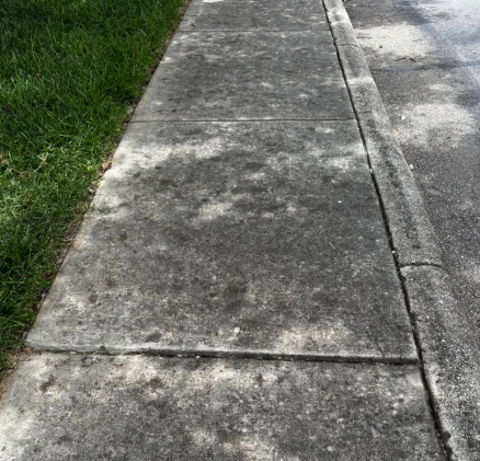 Concrete sidewalk with discoloration next to grass and asphalt.
