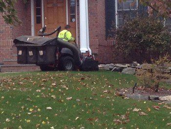 Lawn maintenance