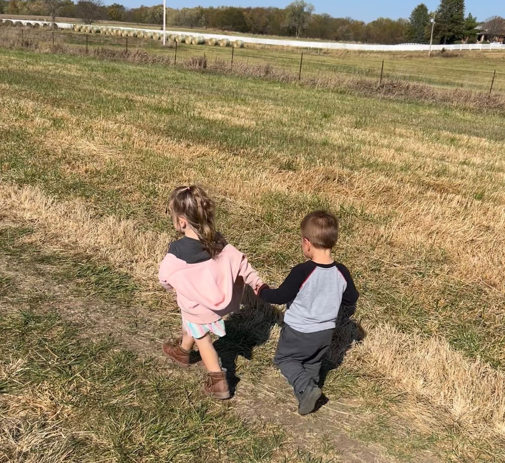 Two children holding hands, walking across a field on a sunny day.