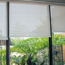 A window with blinds on it and a plant in the background.