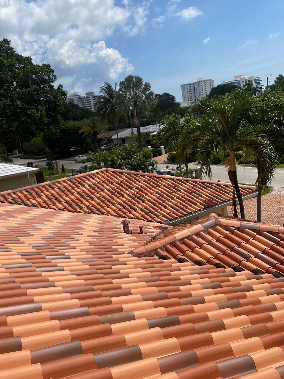 A roof with a lot of tiles on it and palm trees in the background.