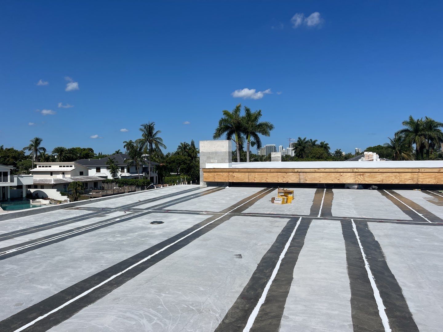 A roof with a lot of lines on it and palm trees in the background