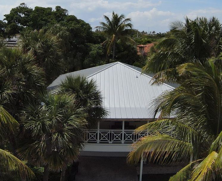An aerial view of a house surrounded by palm trees