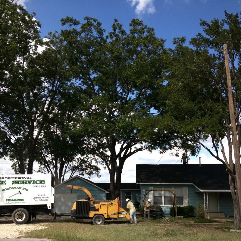 A tree service truck is parked in front of a house