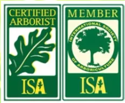 A certified arborist member of isa and texas oak wilt qualified