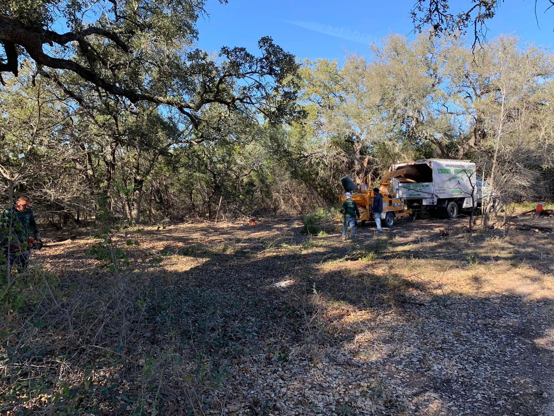 A white truck is parked in the middle of a forest.
