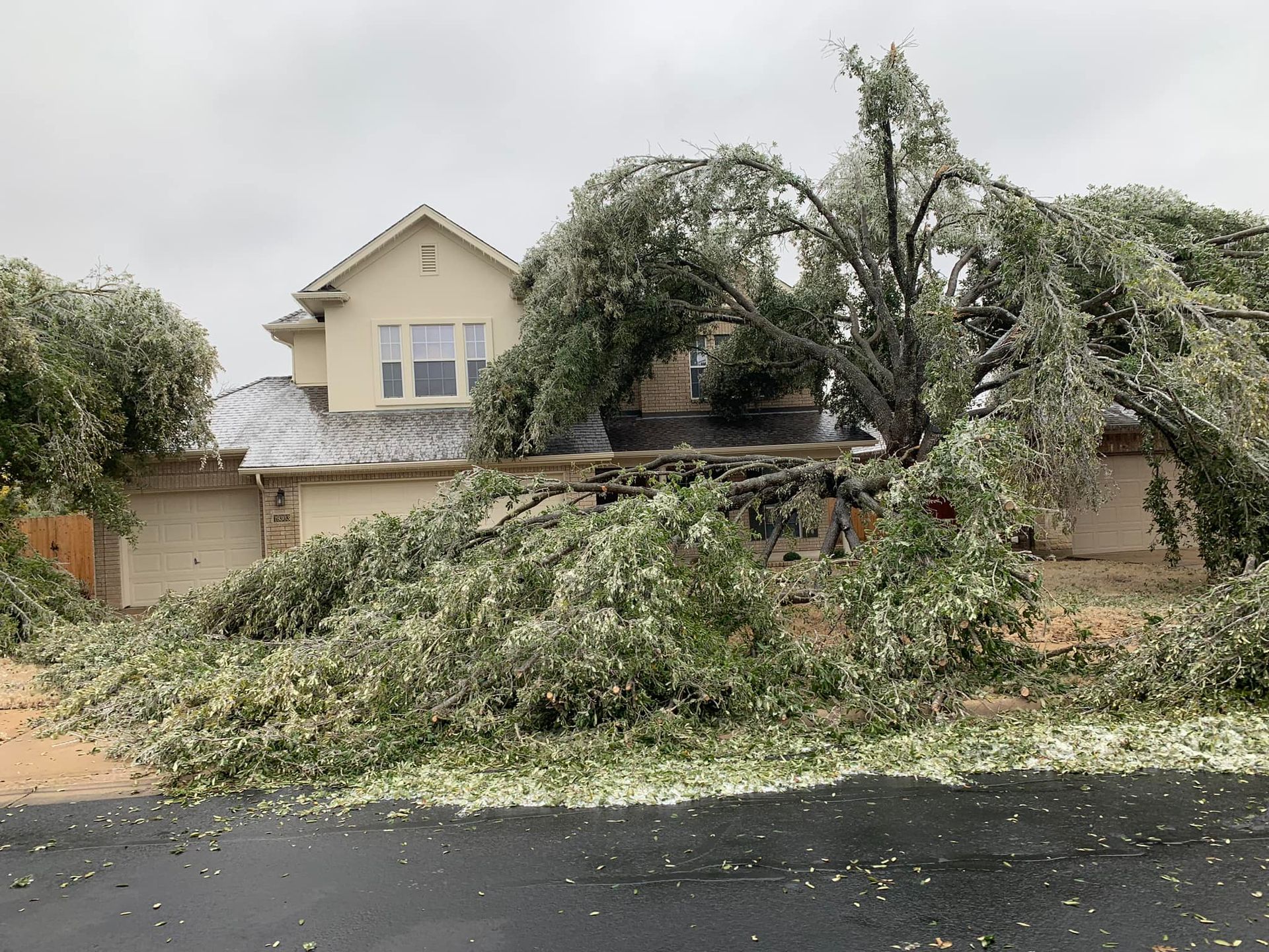 A house with a fallen tree in front of it