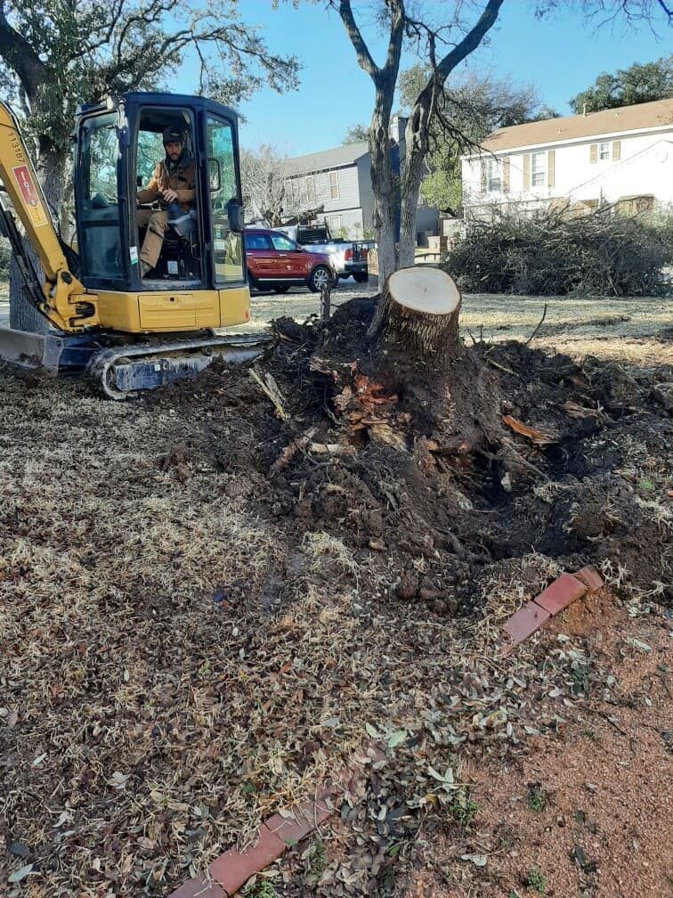 A man is driving a small excavator next to a large tree stump.