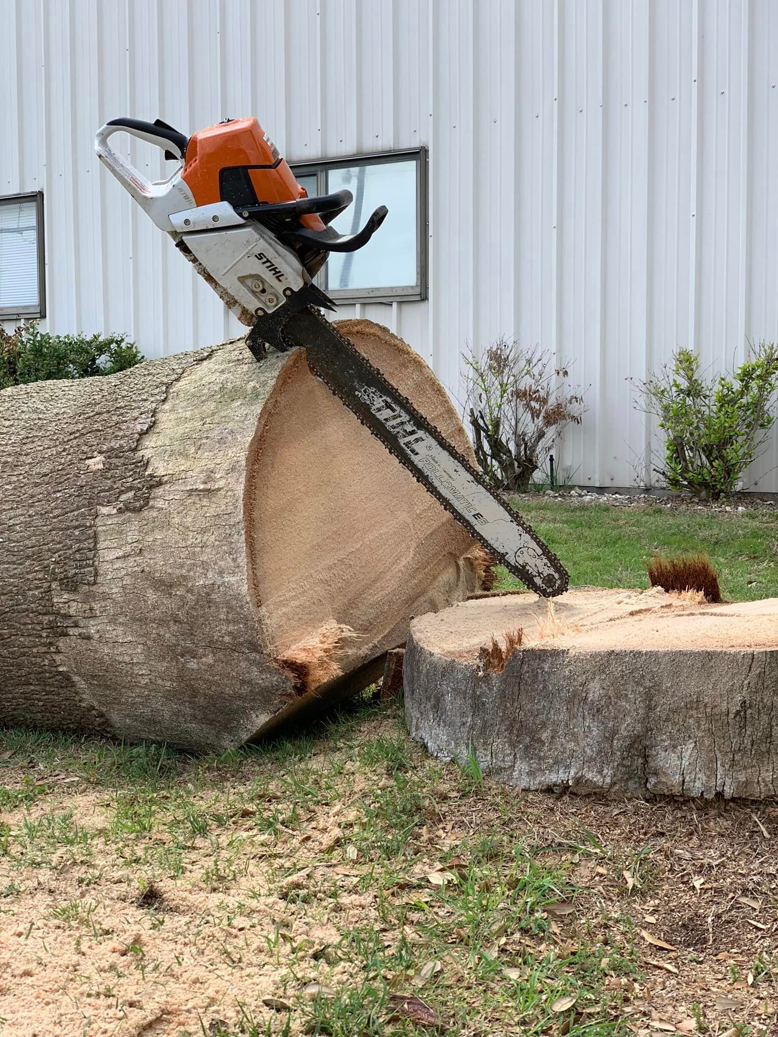 A chainsaw is sitting on top of a tree stump.