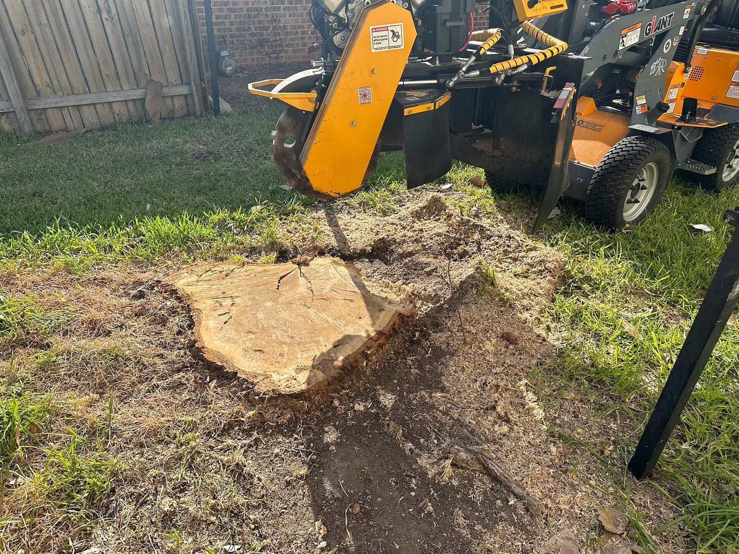 A stump grinder is being used to remove a tree stump.