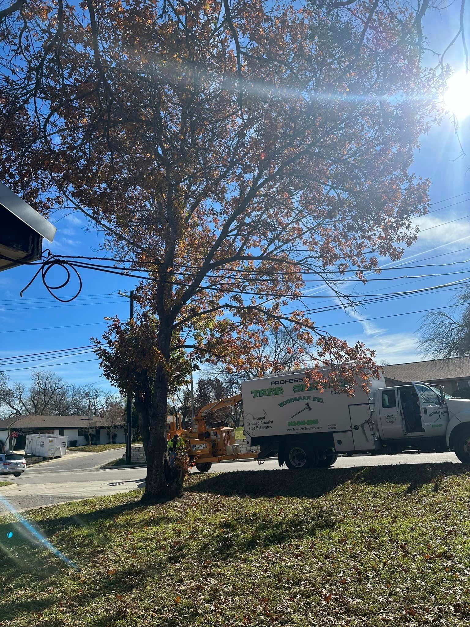 A white truck is parked in front of a tree.