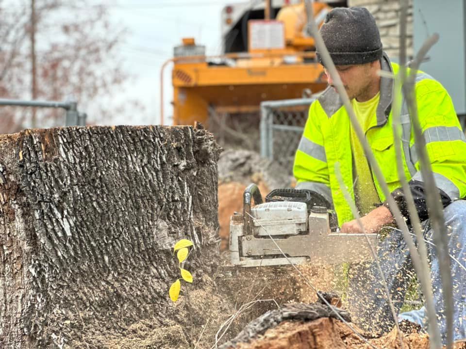 A man is cutting a tree stump with a chainsaw.