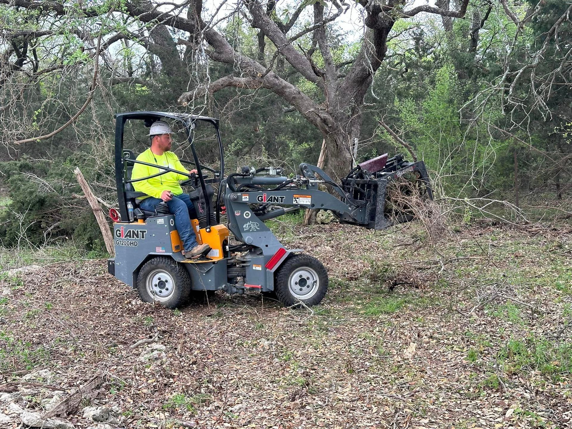 A man is driving a forklift through a forest.