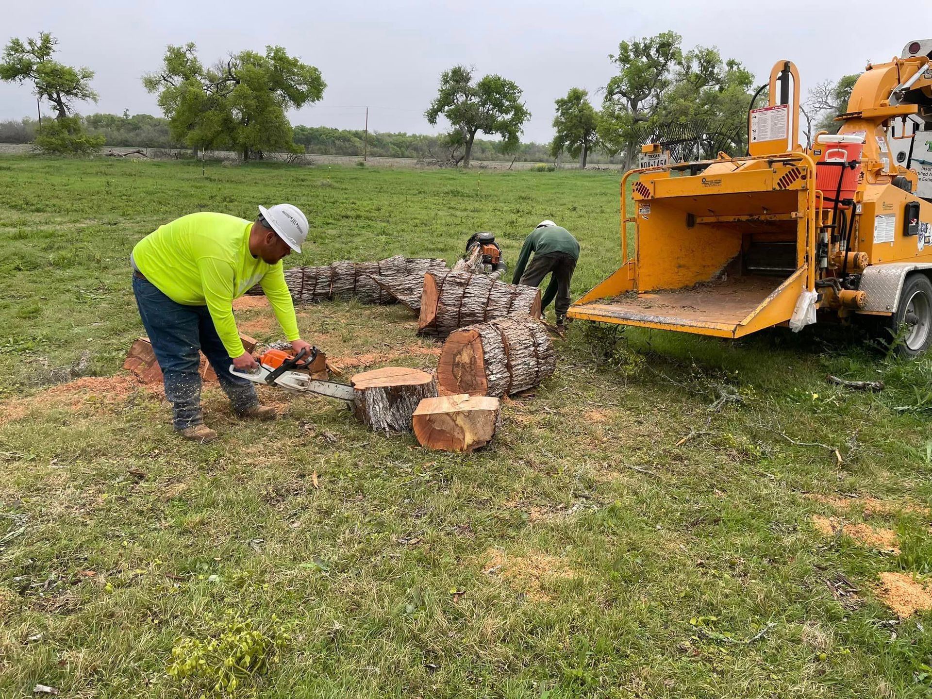 A man is cutting a tree stump with a chainsaw in a field.