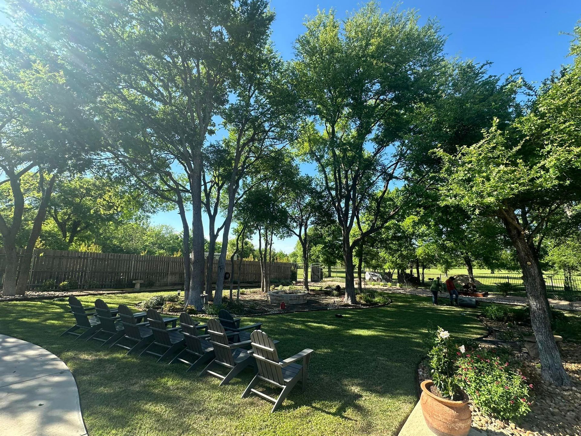 A row of chairs are sitting in the grass in a park surrounded by trees.