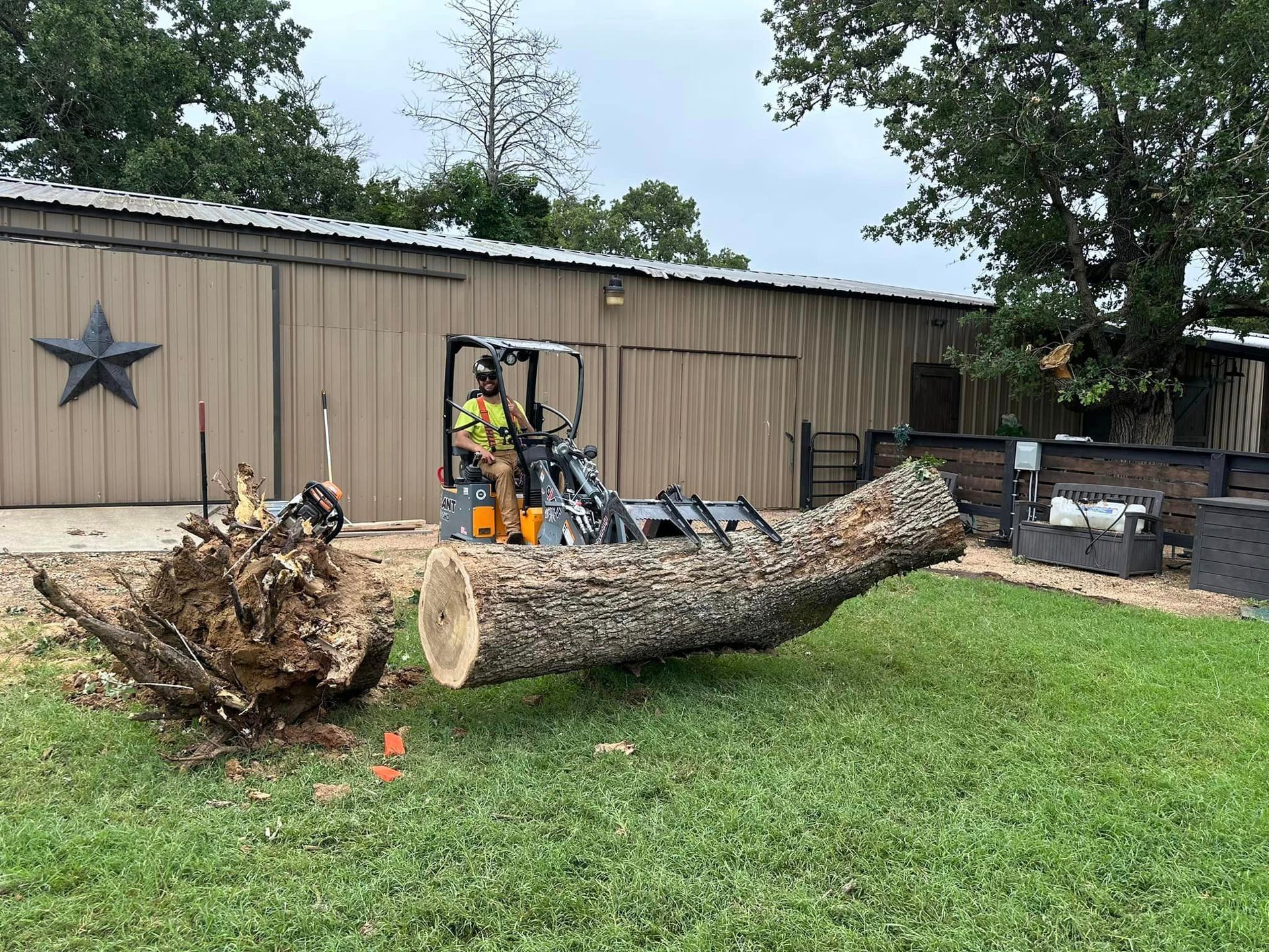 A man is driving a forklift over a large log in a yard.
