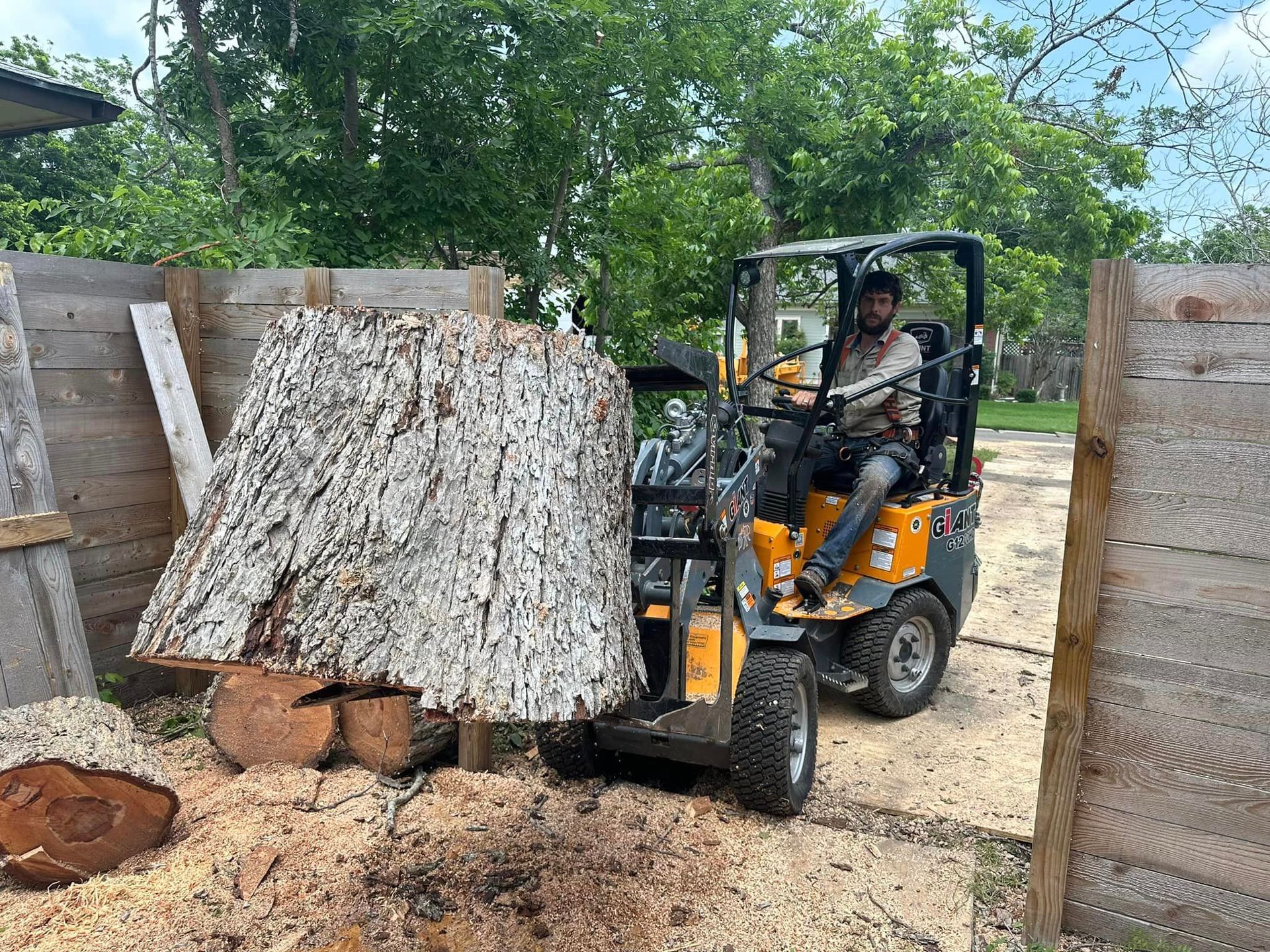 A man is driving a forklift carrying a large tree stump.