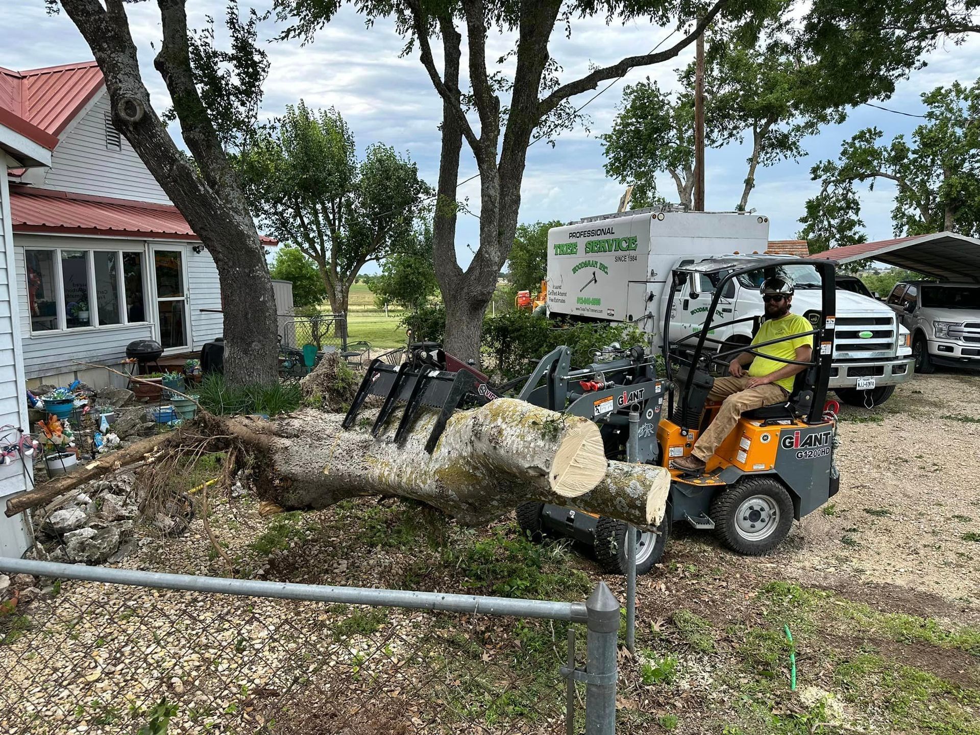 A man is driving a small truck next to a large tree stump.