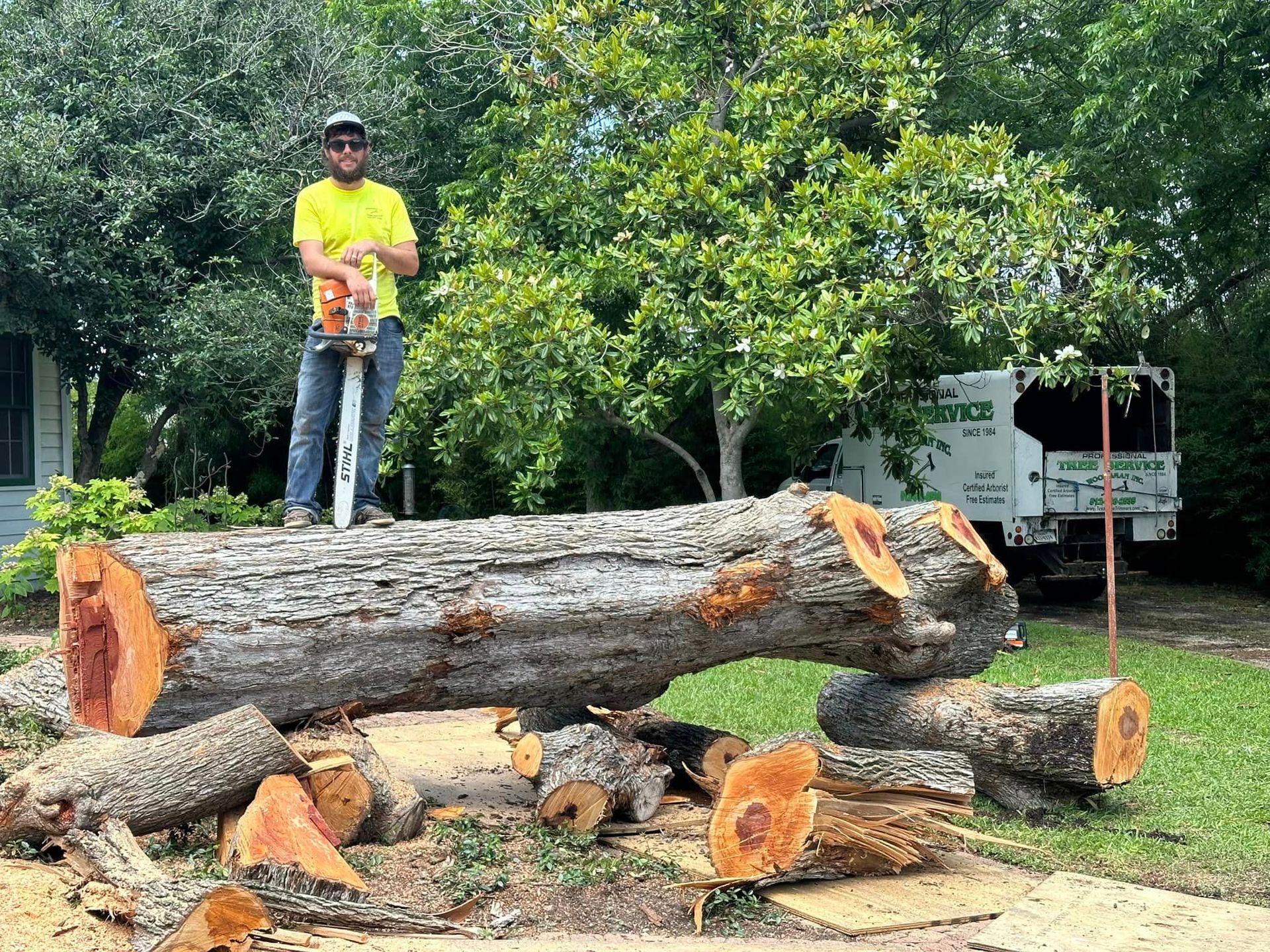 A man is standing on top of a large log with a chainsaw.