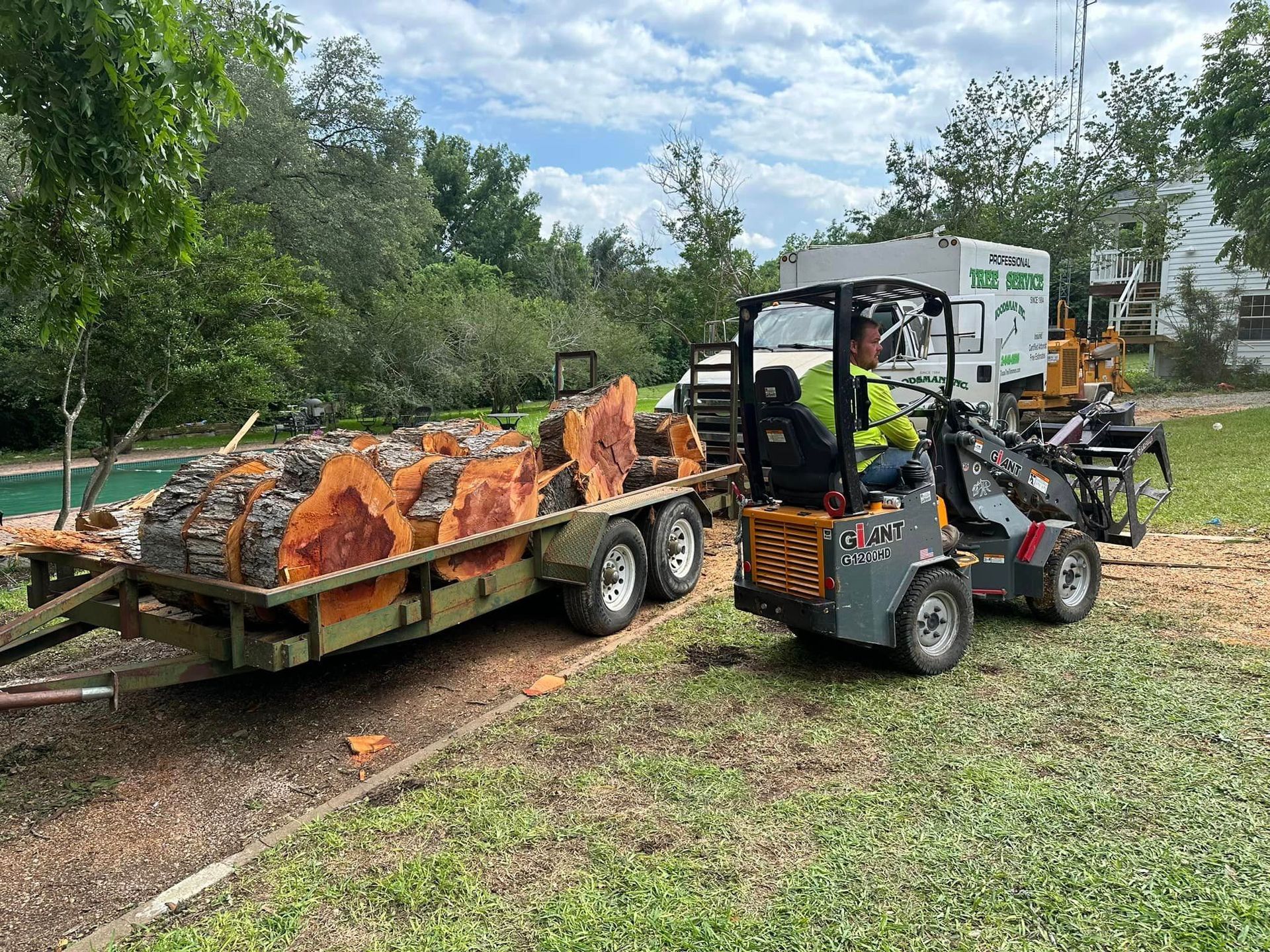 A man is driving a forklift next to a trailer filled with logs.