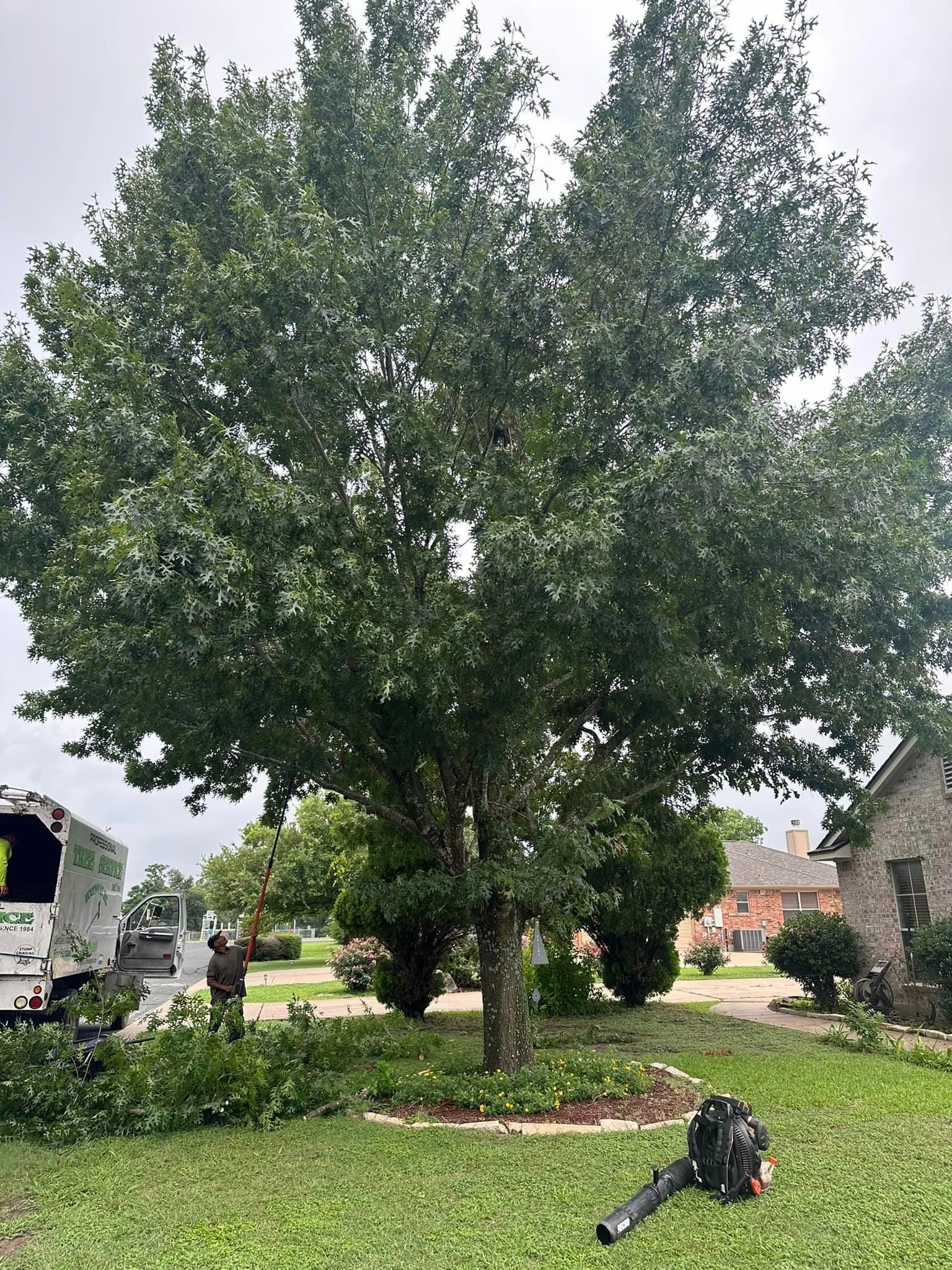 A lawn blower is sitting in front of a large tree in a yard.