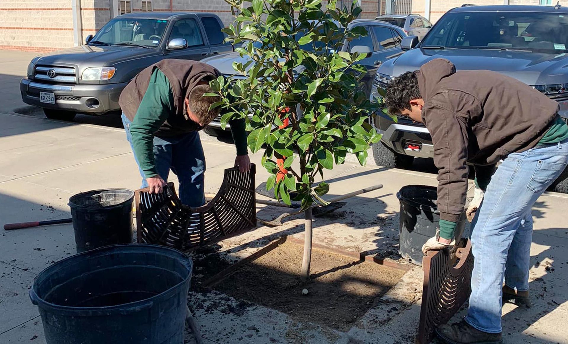 Two men are planting a tree in a parking lot.