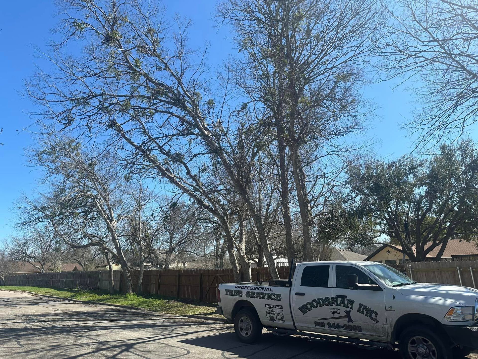 A white pickup truck parked on a street in front of bare trees under a blue sky.
